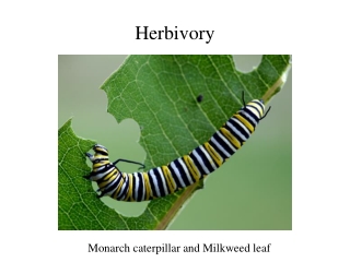 Herbivory