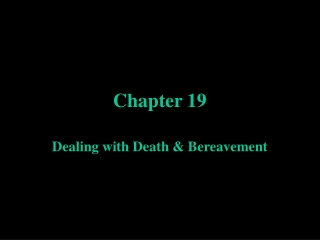 Chapter 19