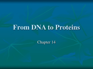 From DNA to Proteins