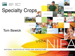 Specialty Crops