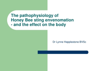 The pathophysiology of  Honey Bee sting envenomation - and the effect on the body