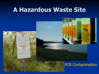 A Hazardous Waste Site