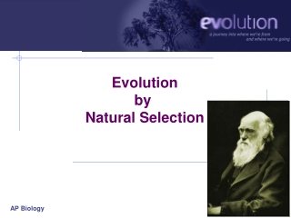 Evolution by  Natural Selection