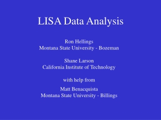 LISA Data Analysis