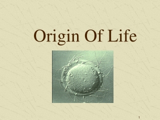 Origin Of Life