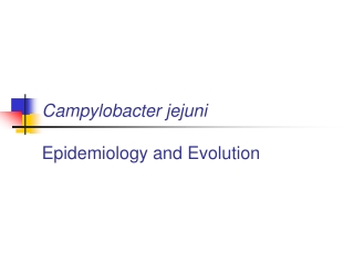 Campylobacter jejuni Epidemiology and Evolution