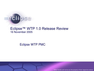 Eclipse™ WTP 1.0 Release Review  16 November 2005