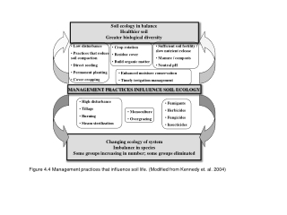 Soil ecology in balance Healthier soil Greater biological diversity