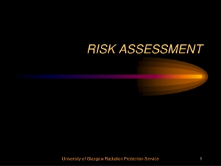 RISK ASSESSMENT