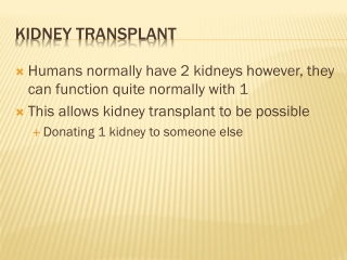 Kidney Transplant