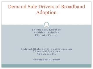 Demand Side Drivers of Broadband Adoption