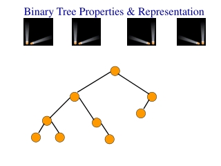 Binary Tree Properties &amp; Representation