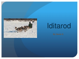 Iditarod