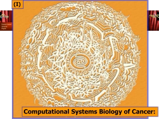 Computational Systems Biology of Cancer: