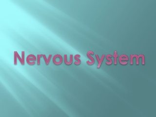 Nervous System