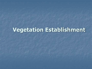 Vegetation Establishment