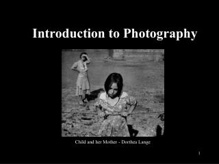 Introduction to Photography