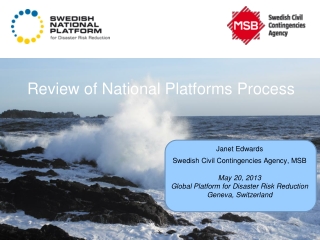 Review of National Platforms Process