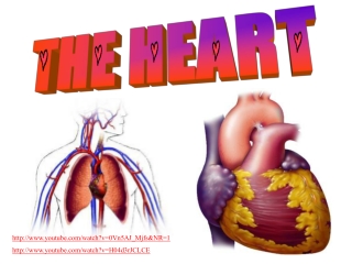 THE HEART