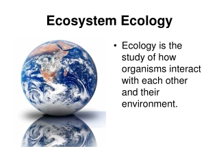 Ecosystem Ecology