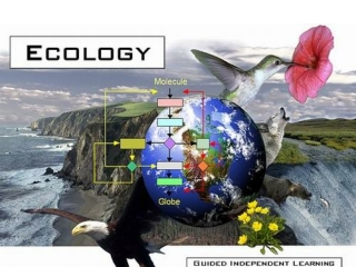 ECOLOGY