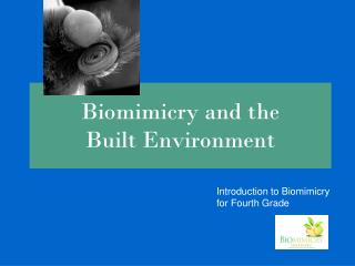 Biomimicry and the Built Environment