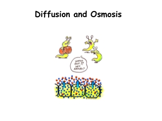 Diffusion and Osmosis