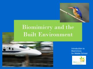Biomimicry and the Built Environment