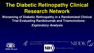 The Diabetic Retinopathy Clinical Research Network