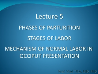 Lecture 5 PHASES OF PARTURITION STAGES OF LABOR MECHANISM OF NORMAL LABOR IN  OCCIPUT PRESENTATION