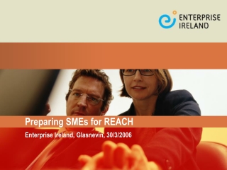 Preparing SMEs for REACH