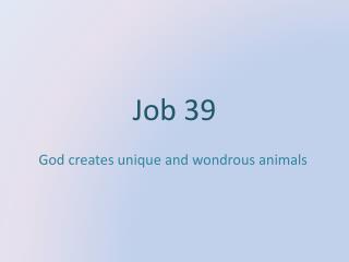 Job 39