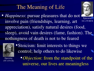 The Meaning of Life