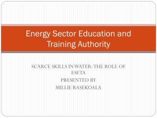 Energy Sector Education and Training Authority