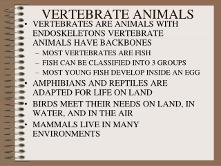 VERTEBRATE ANIMALS