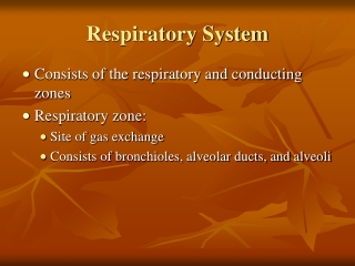 Respiratory System