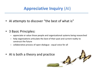 Appreciative Inquiry  (AI )