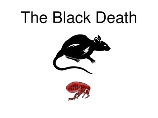 The Black Death