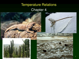 Temperature Relations