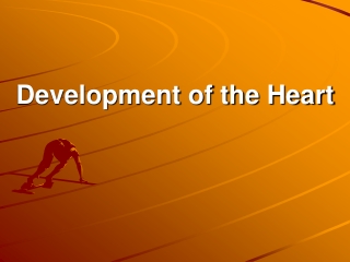 Development of the Heart