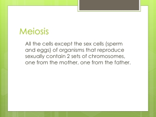 Meiosis