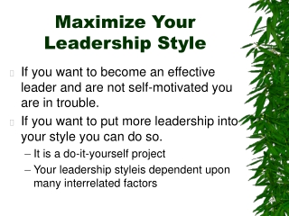 Maximize Your Leadership Style