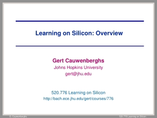 Learning on Silicon: Overview