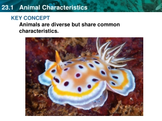 KEY CONCEPT Animals are diverse but share common characteristics.