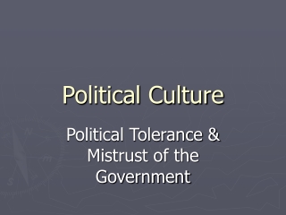 Political Culture