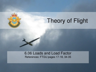 Theory of Flight