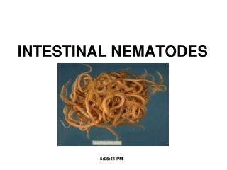 INTESTINAL NEMATODES