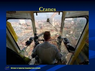 Cranes