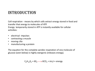 INTRODUCTION