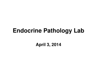 Endocrine Pathology Lab